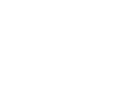logo wellnow blanco