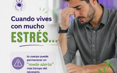 🧠✨ Nervio vago: qué es y por qué influye en tu bienestar