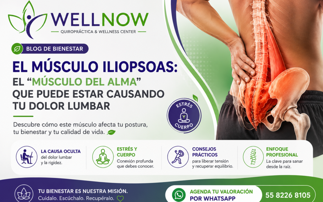 El Músculo Iliopsoas: El «Músculo del Alma» que Puede Estar Causando tu Dolor Lumbar 🧘‍♂️✨