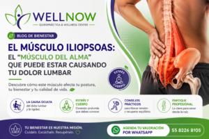 entrada iliosopas blog wellnow