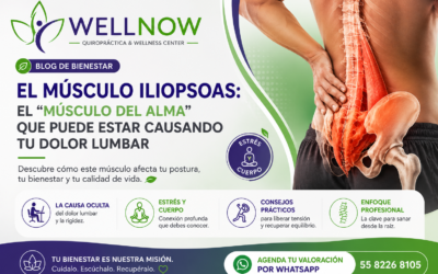 El Músculo Iliopsoas: El «Músculo del Alma» que Puede Estar Causando tu Dolor Lumbar 🧘♂️✨