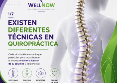 Estados Wellnow Técnicas Quiropracticas 1