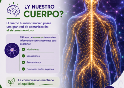 WELLNOW ESTADOS SISTEMA NERVIOSO Y REGENERACION 2
