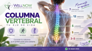 imagen entrada columna vertebral wellnow